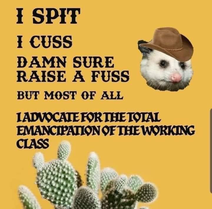 This meme features a photo of a white opossum wearing a cowboy hat, accompanied by a quote in a western-style font. The text reads: "I SPIT I CUSS DAMN SURE RAISE A FUSS BUT MOST OF ALL I ADVOCATE FOR THE TOTAL EMANCIPATION OF THE WORKING CLASS." The image is humorous and ironic, as it juxtaposes a typical western-style quote with a reference to a working-class movement, while also featuring an opossum, an animal not typically associated with the western genre.